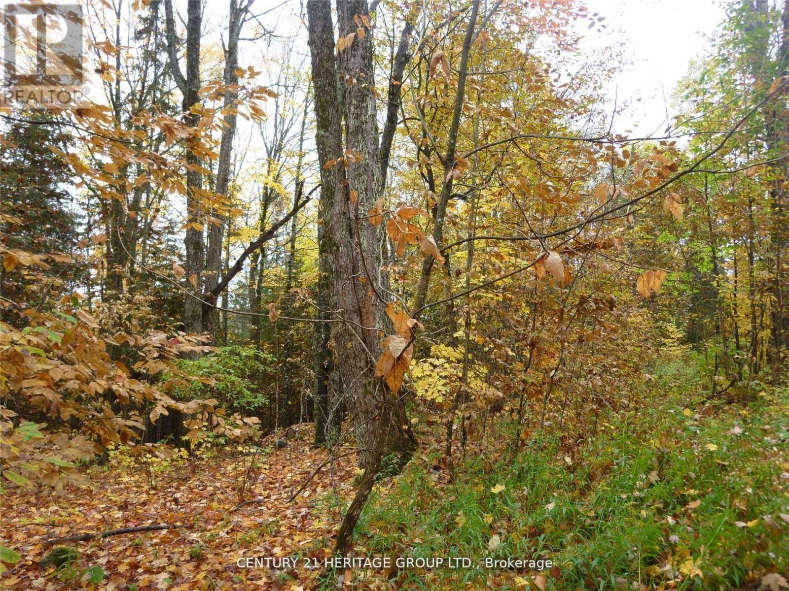 Pt Lt 8 Con7 Macduff Road, Highlands East, Ontario  K0L 2Y0 - Photo 4 - X12707160