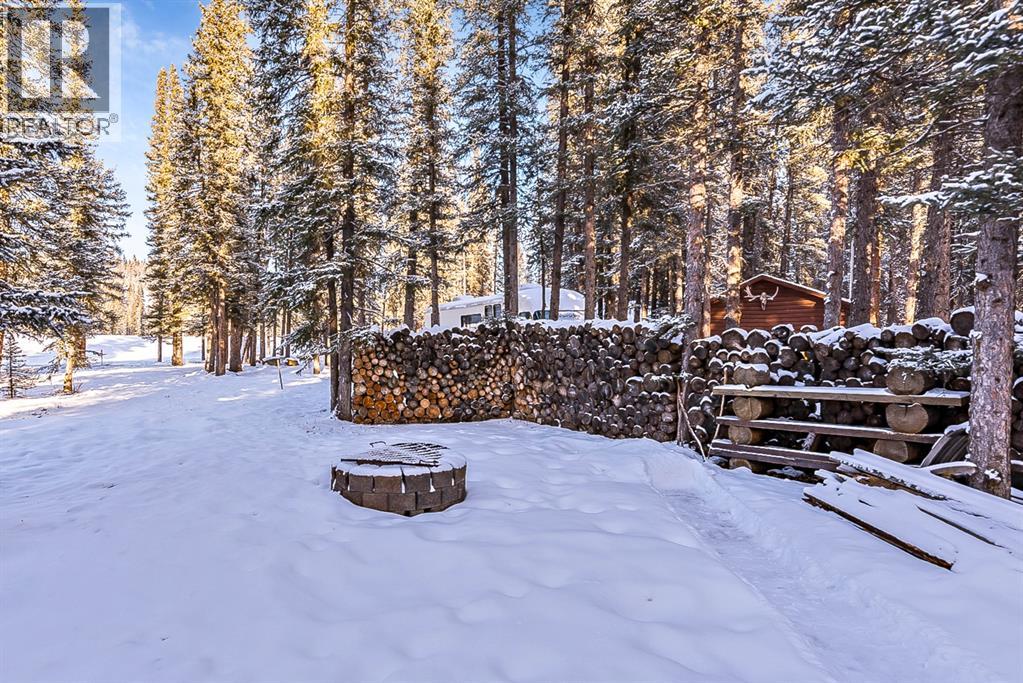 104 White Avenue, Bragg Creek, Alberta  T0L 0K0 - Photo 48 - A2216524