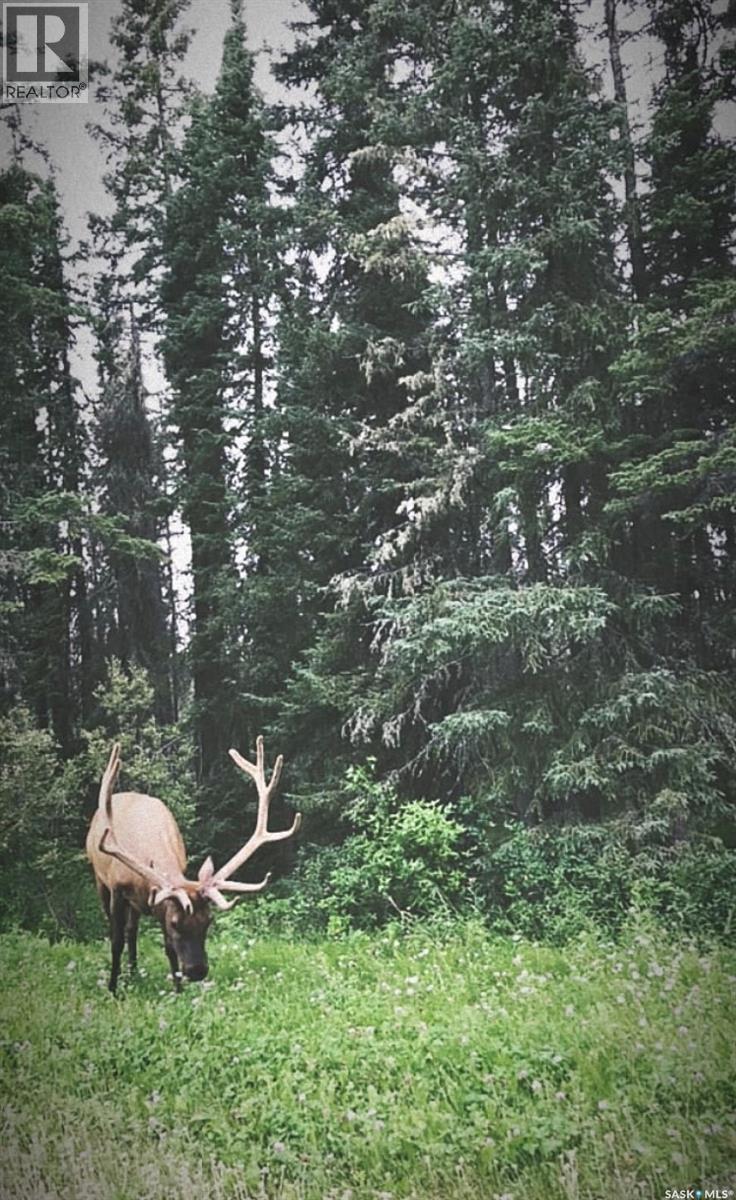 28 Eagle View Way, Elk Ridge, Saskatchewan  S0J 0N0 - Photo 36 - SK023885