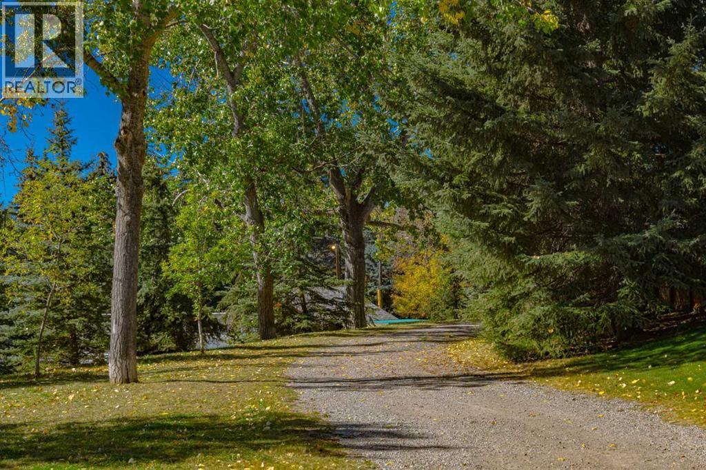 4011 25 Avenue Sw, Calgary, Alberta  T3E 0L7 - Photo 31 - A2280085