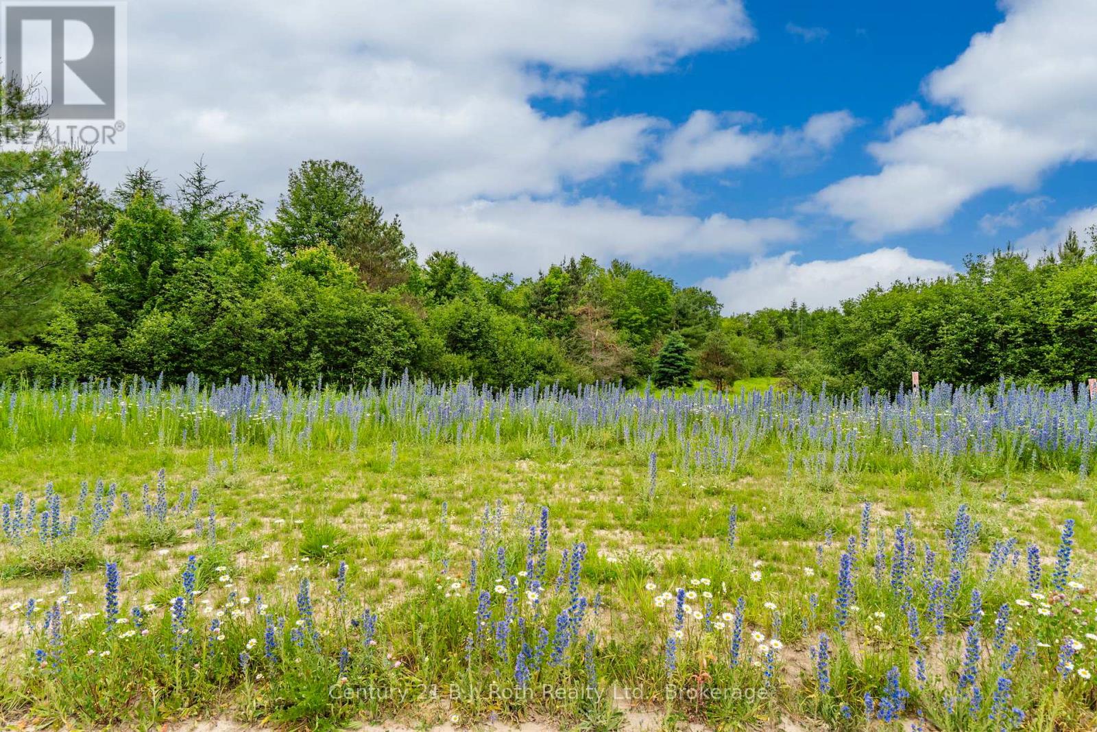 13 Greenlaw Court, Springwater, Ontario  L0L 1V0 - Photo 6 - S12707340