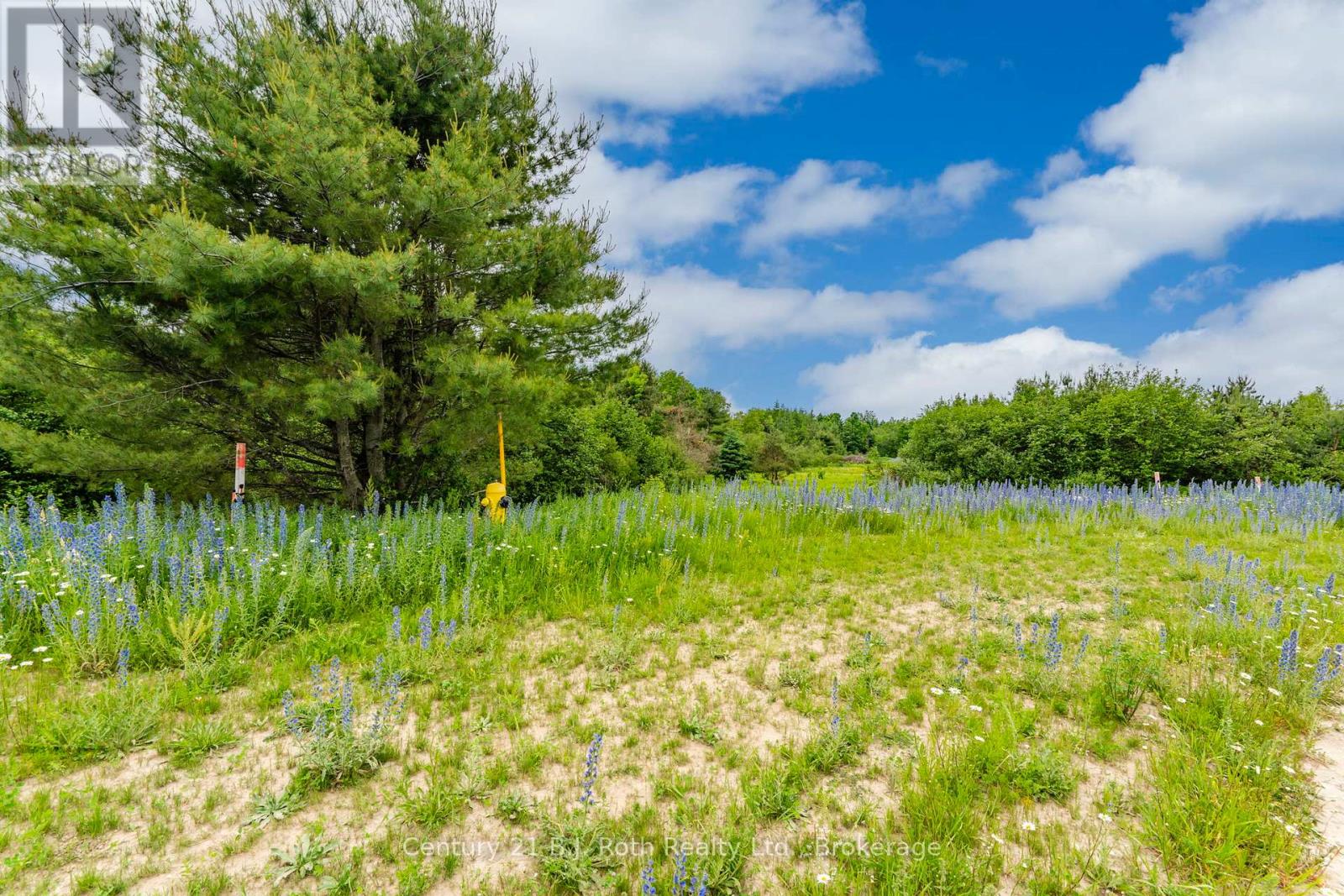 13 Greenlaw Court, Springwater, Ontario  L0L 1V0 - Photo 8 - S12707340