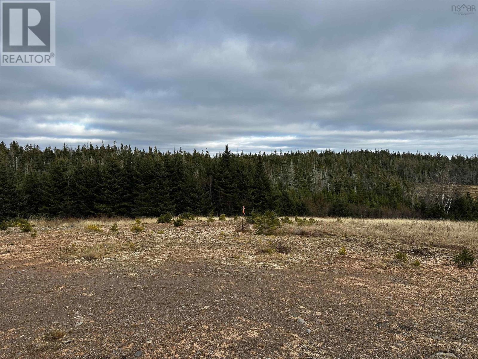 No 247 Highway, Point Michaud, Nova Scotia  B2J 1B3 - Photo 7 - 202600525