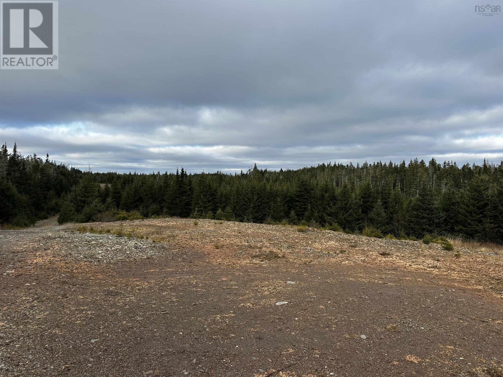 No 247 Highway, Point Michaud, Nova Scotia  B2J 1B3 - Photo 6 - 202600525