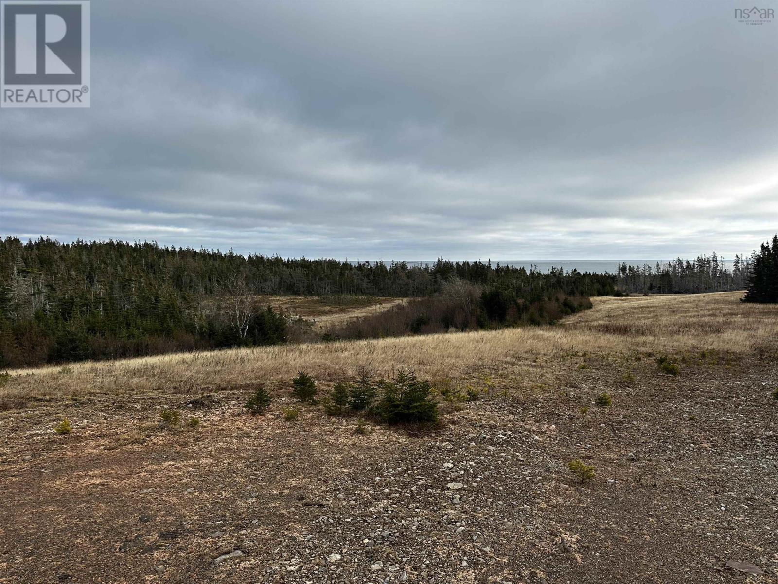 No 247 Highway, Point Michaud, Nova Scotia  B2J 1B3 - Photo 8 - 202600525