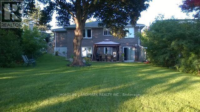 272 Essex (Work Out Basement) Avenue, Richmond Hill, Ontario  L4C 2C2 - Photo 15 - N12707432