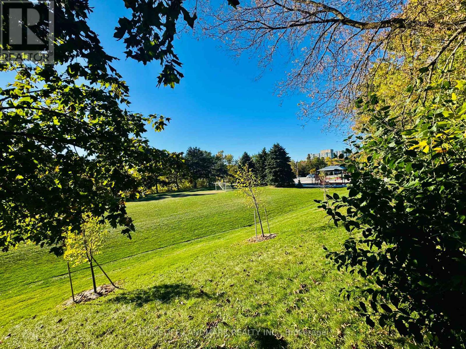 272 Essex (Work Out Basement) Avenue, Richmond Hill, Ontario  L4C 2C2 - Photo 21 - N12707432