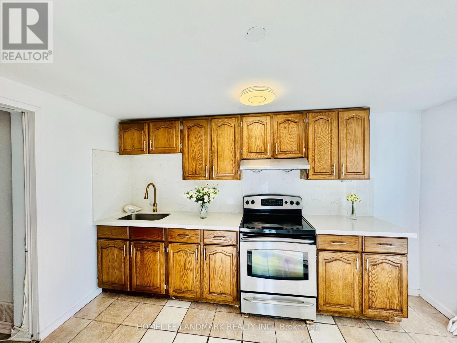 272 Essex (Work Out Basement) Avenue, Richmond Hill, Ontario  L4C 2C2 - Photo 8 - N12707432