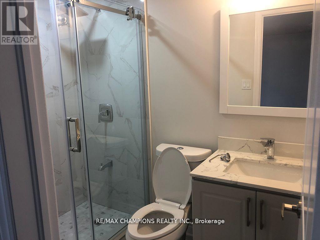 Bsmt - 9 Cadence Road, Brampton, Ontario  L6X 0J8 - Photo 7 - W12707454