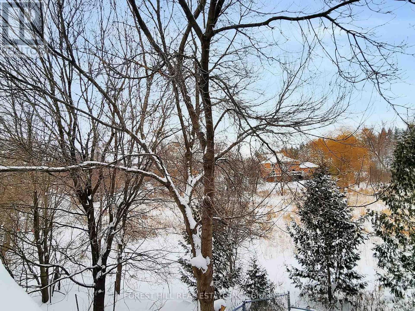 16 Royal Cedar Court, East Gwillimbury, Ontario  L9N 1R7 - Photo 34 - N12707514