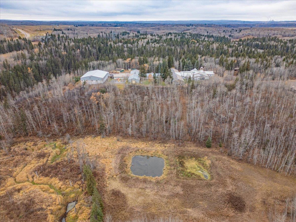 51165 Rge Rd 30, Leduc County, Alberta T0C 2T0 - Photo 21 - 43689737
