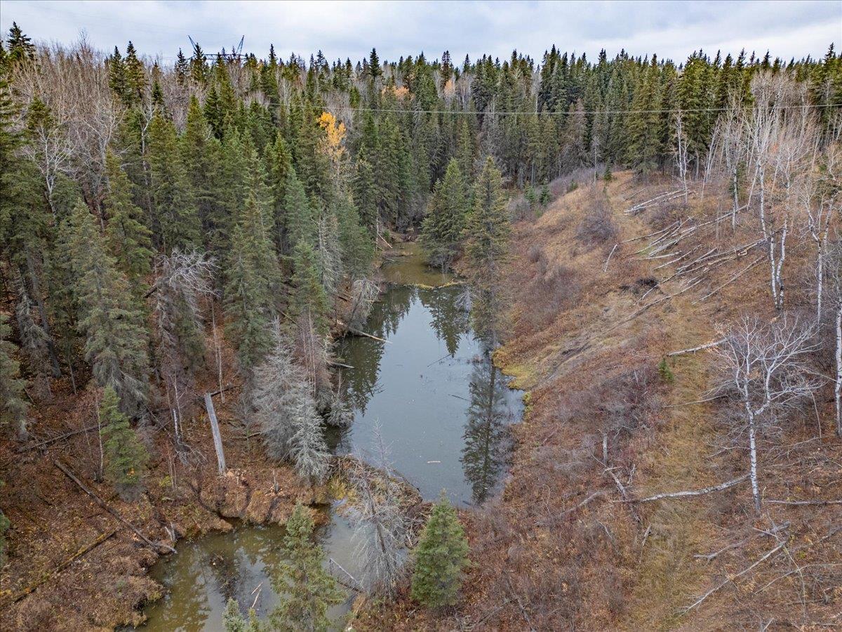 51165 Rge Rd 30, Leduc County, Alberta T0C 2T0 - Photo 22 - 43689737