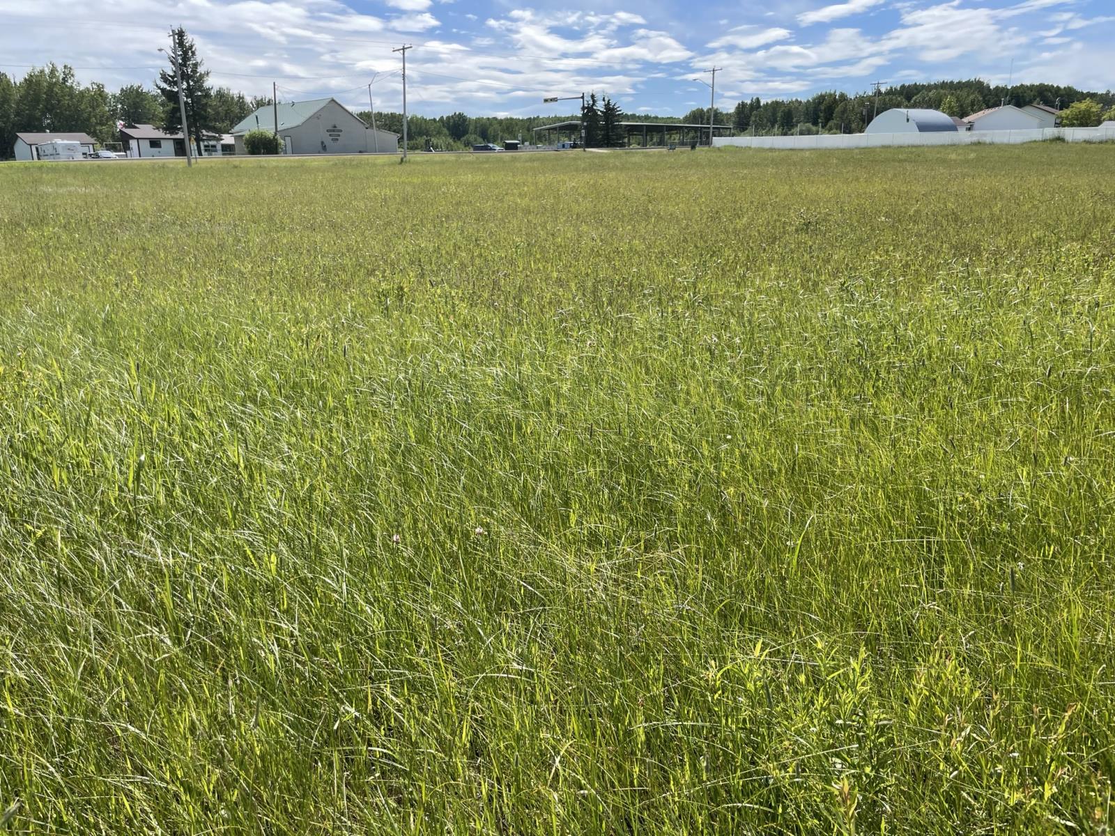 5002  50 Street, Brazeau County, Alberta