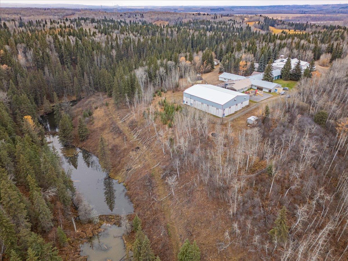 51165 Rge Rd 30, Leduc County, Alberta T0C 2T0 - Photo 10 - 43689737