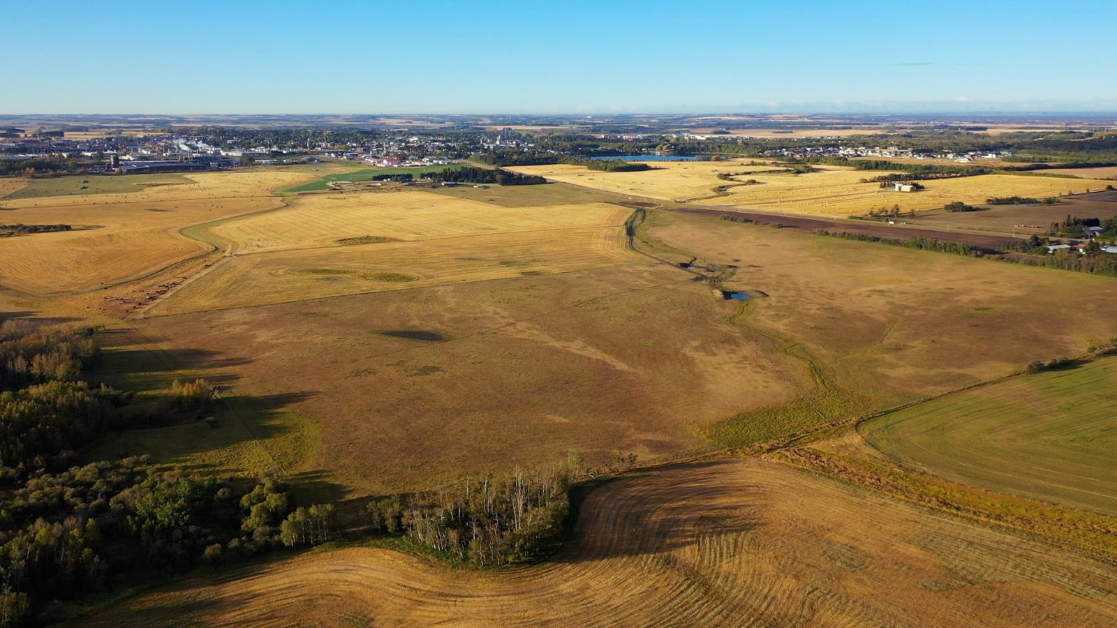 6360  C & E Trail, Innisfail, Alberta  T4G 0G9 - Photo 5 - 43690088