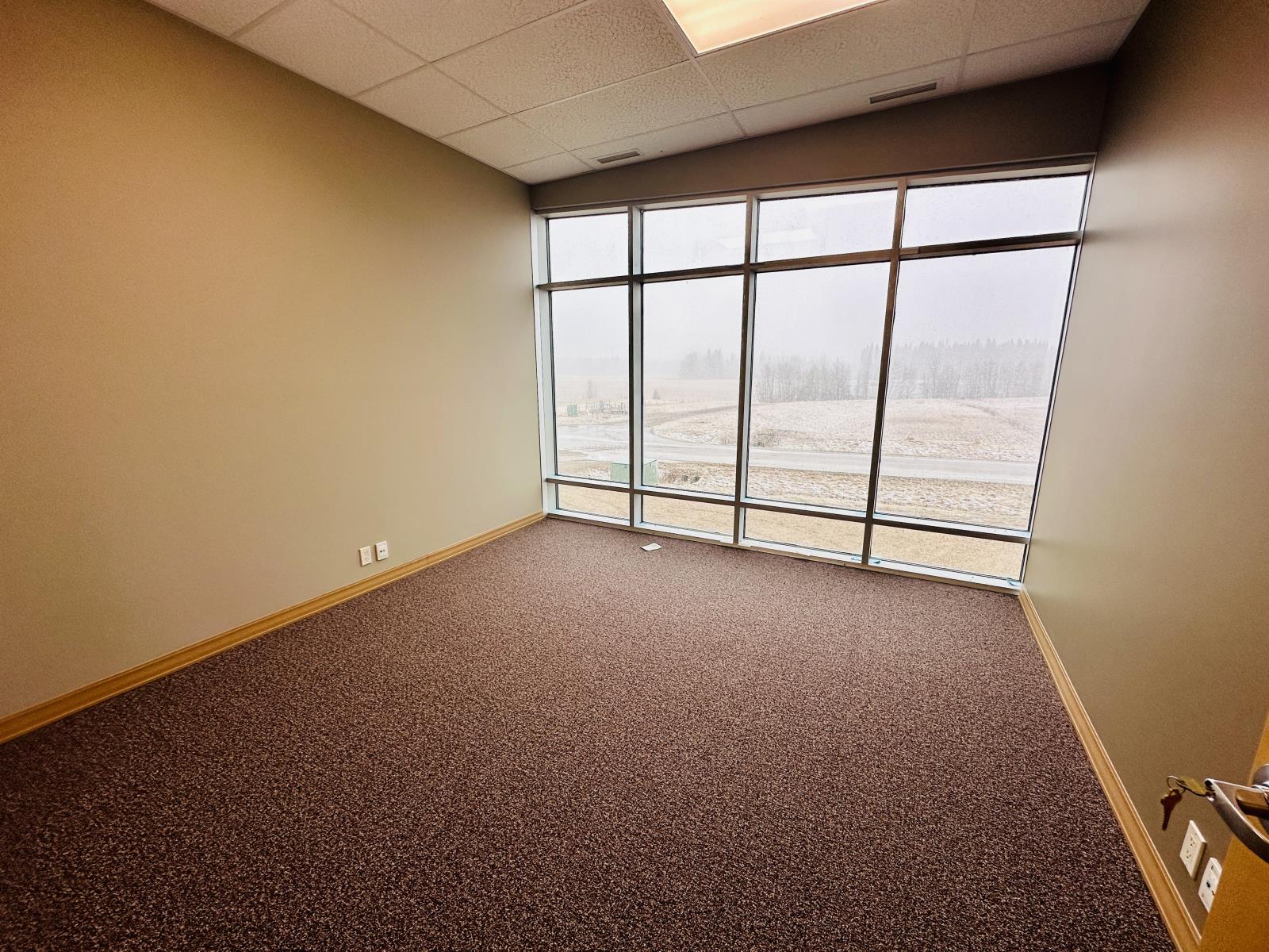 2705  64 Street, Drayton Valley, Alberta  T7A 1S1 - Photo 5 - 43691007