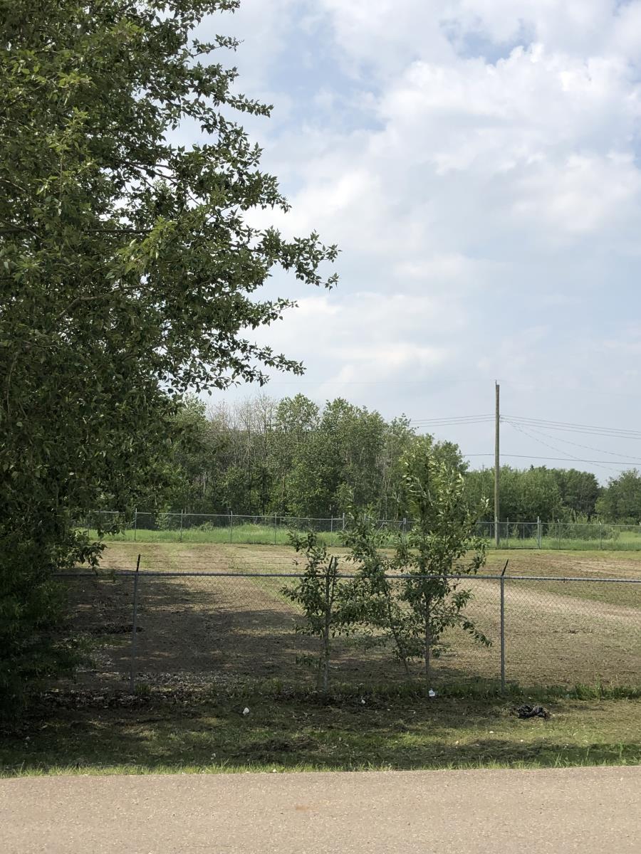 3610  50 Street, Cold Lake, Alberta  T9M 1S6 - Photo 3 - 43887649