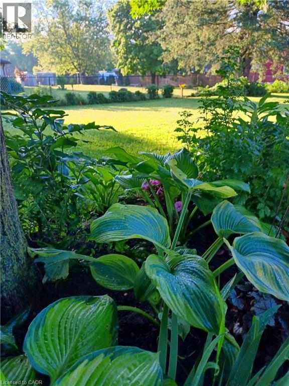 46 Dufferin Street, Burford, Ontario  N0E 1A0 - Photo 41 - 40799063