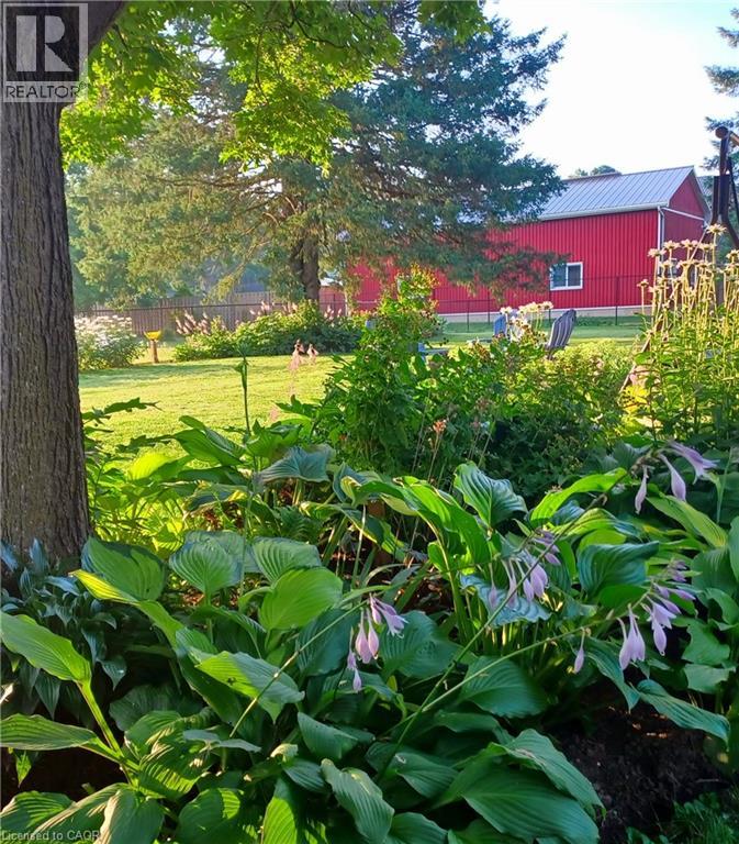 46 Dufferin Street, Burford, Ontario  N0E 1A0 - Photo 42 - 40799063