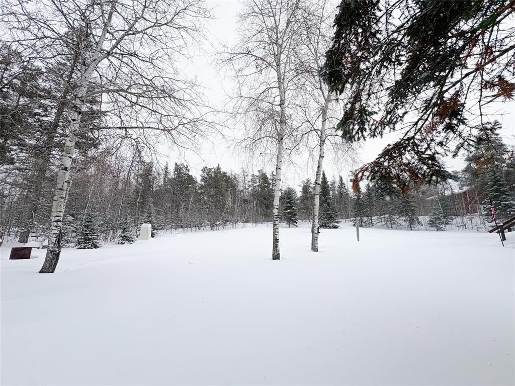 89 Shannon Street, Alexander, Manitoba  R0E 0T0 - Photo 30 - 202600514