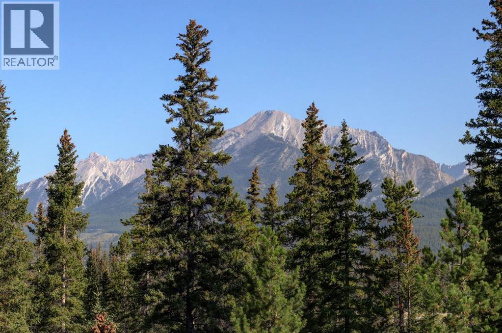 305, 170 Crossbow, Canmore, Alberta  T1W 3H4 - Photo 18 - A2259584