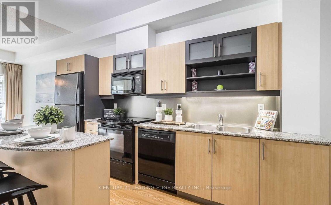 203 - 350 Wellington Street W, Toronto, Ontario  M5V 3W9 - Photo 8 - C12702262