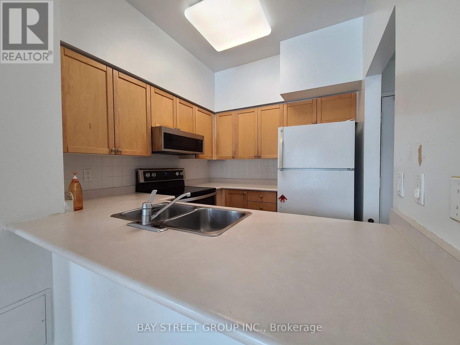 509 - 33 Empress Avenue, Toronto, Ontario  M2N 6Y7 - Photo 3 - C12707674