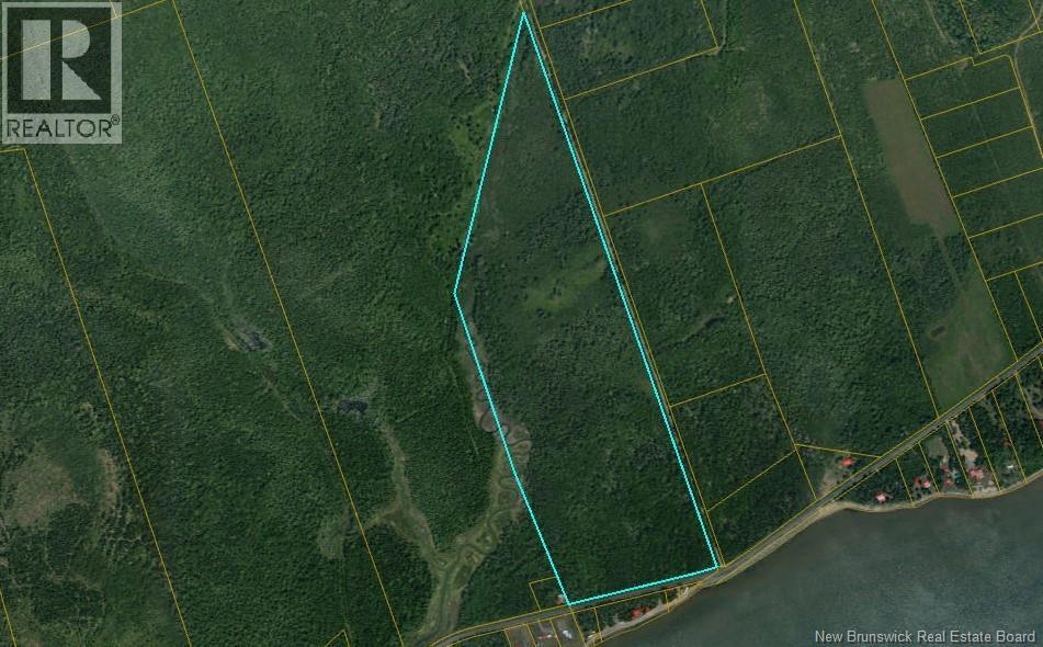 Lot Route 960, Cape Spear, New Brunswick  E4M 2S1 - Photo 3 - NB132101