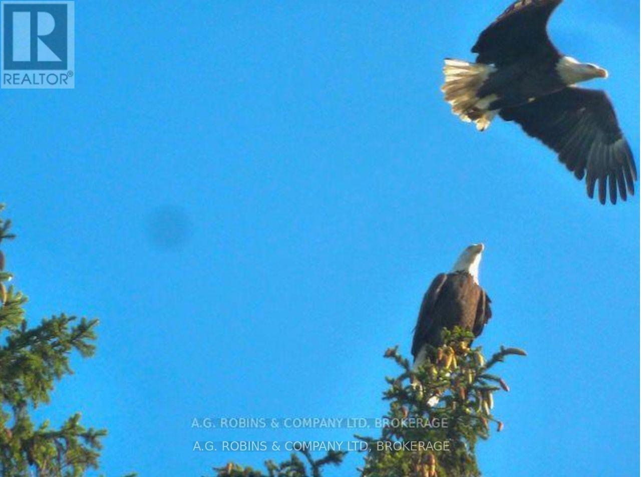 10773 Lakeshore Road, Wainfleet (Lakeshore), Ontario  L0S 1V0 - Photo 43 - X12707878