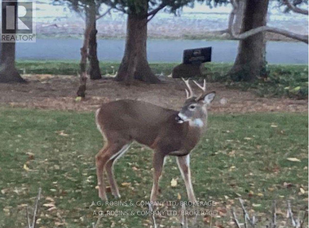 10773 Lakeshore Road, Wainfleet (Lakeshore), Ontario  L0S 1V0 - Photo 44 - X12707878