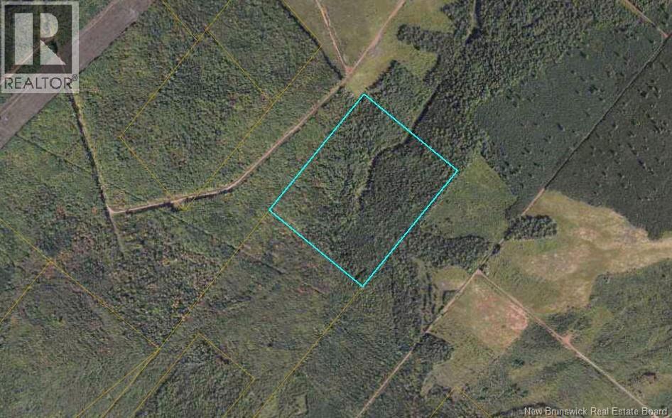 Lot Route 905, Elgin, New Brunswick  E4Z 6C4 - Photo 1 - NB132103