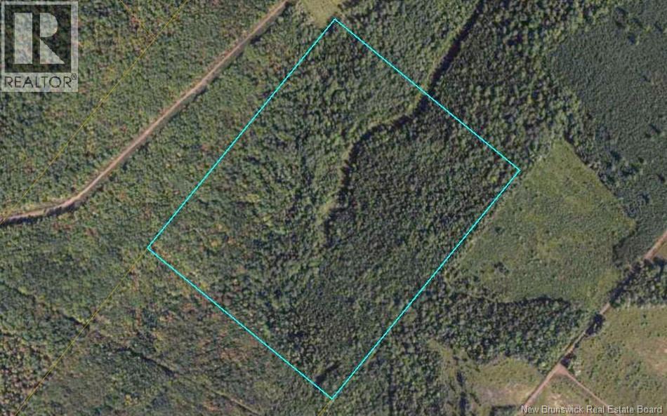 Lot Route 905, Elgin, New Brunswick  E4Z 6C4 - Photo 3 - NB132103