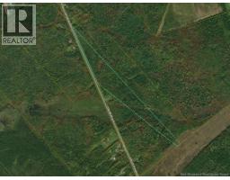 Lot Grub Road, salisbury, New Brunswick