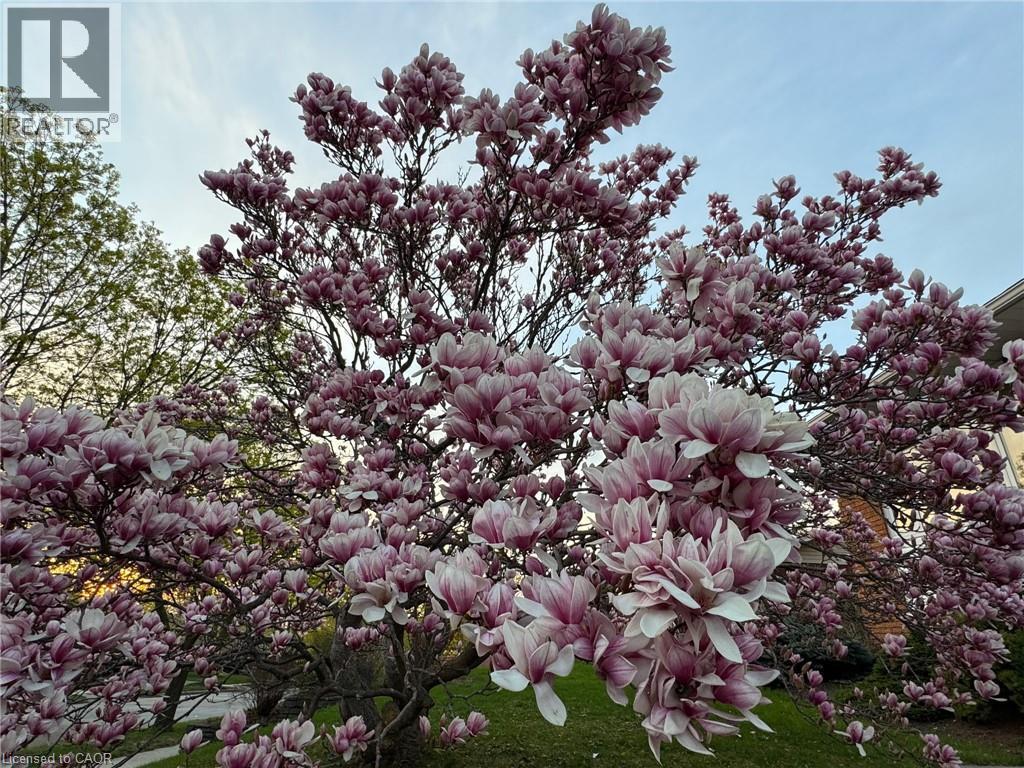 212 Winfield Avenue, Waterloo, Ontario  N2J 3M9 - Photo 27 - 40799352