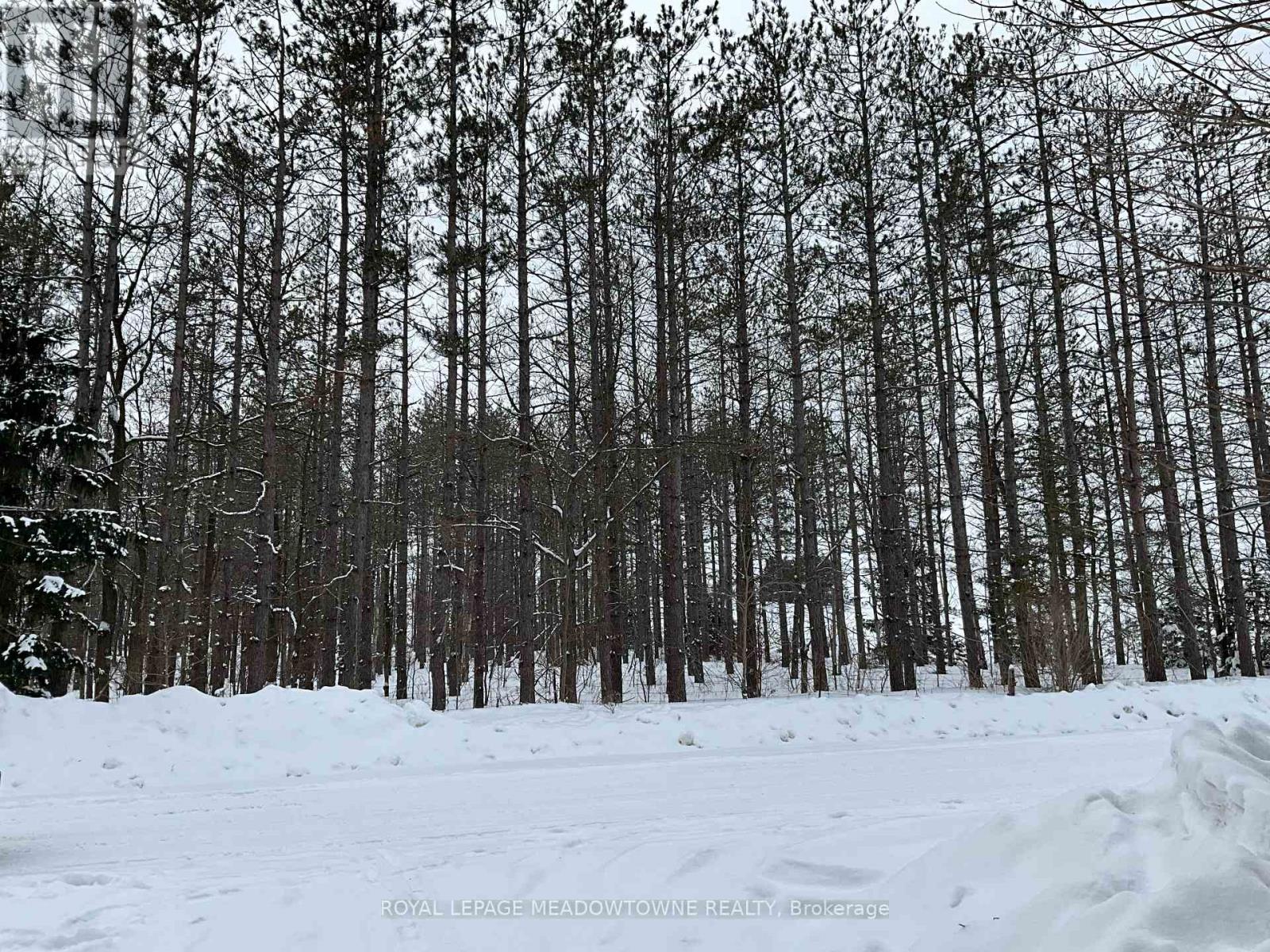 5977 Fifth Line, Erin, Ontario  N0B 1Z0 - Photo 5 - X12353247