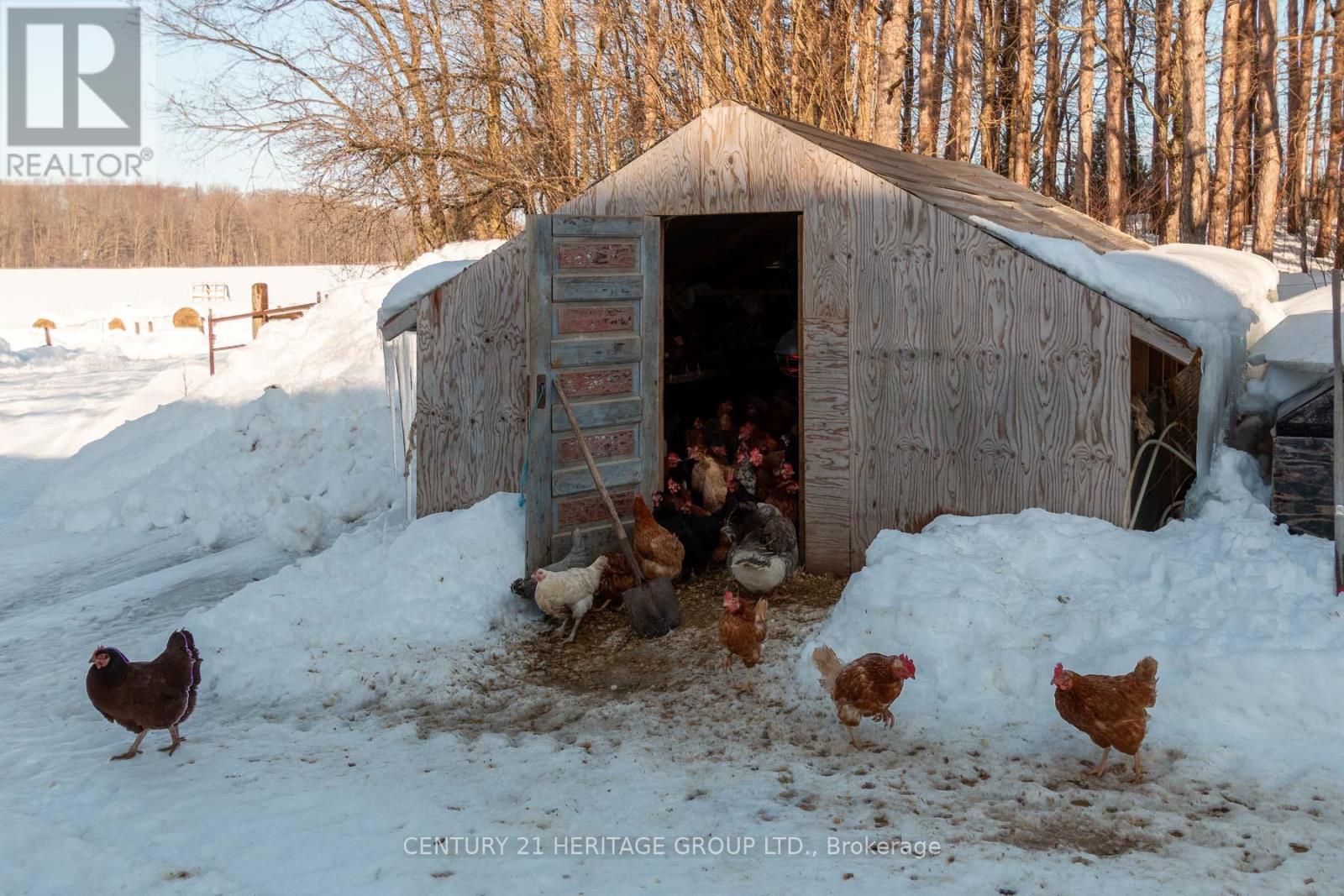 797177 East Back Line, Chatsworth, Ontario  N0H 1R0 - Photo 5 - X12707946