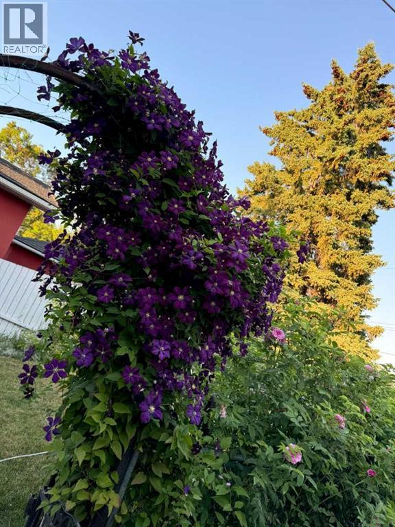 113 Brown Crescent Nw, Calgary, Alberta  T2L 1N4 - Photo 39 - A2277077