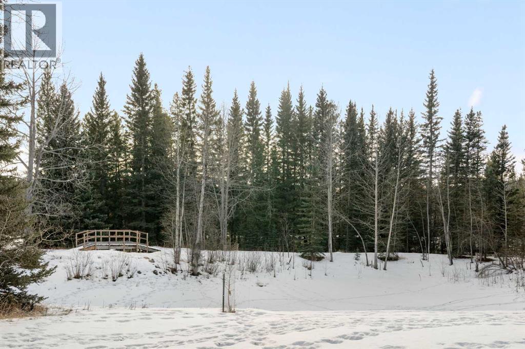 74 Hawk Eye Road, Rural Rocky View County, Alberta  T0L 0K0 - Photo 40 - A2276487