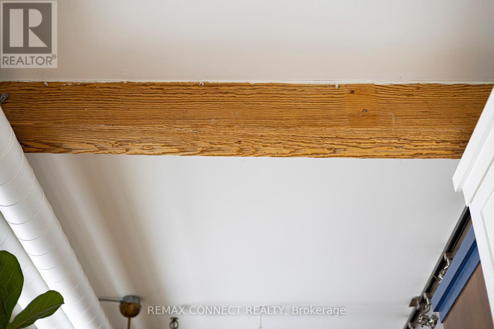 302 - 426 Queen Street E, Toronto, Ontario  M5A 1T4 - Photo 22 - C12708138