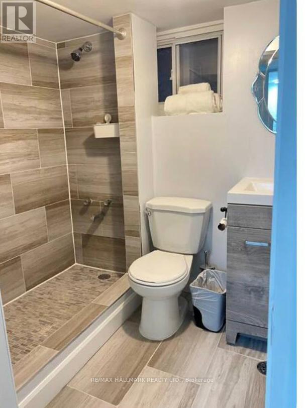 Lower - 132 Grace Street, Toronto, Ontario  M6J 2S2 - Photo 10 - C12708198