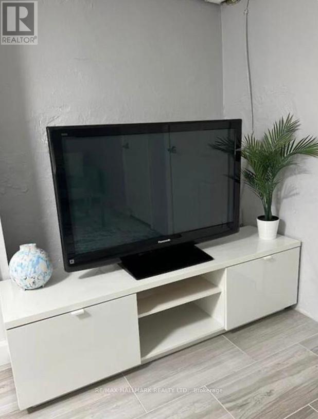 Lower - 132 Grace Street, Toronto, Ontario  M6J 2S2 - Photo 11 - C12708198