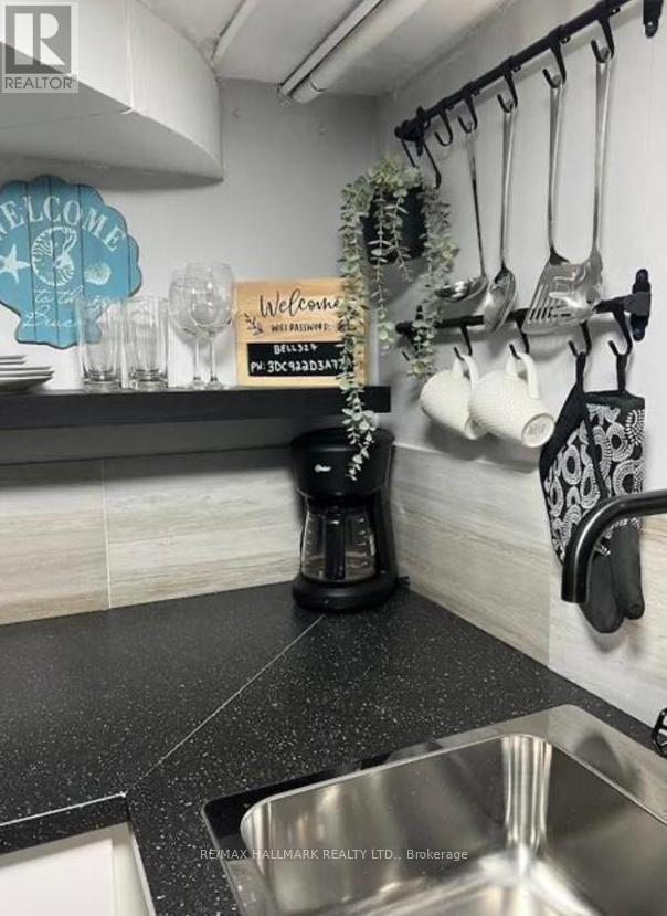 Lower - 132 Grace Street, Toronto, Ontario  M6J 2S2 - Photo 12 - C12708198