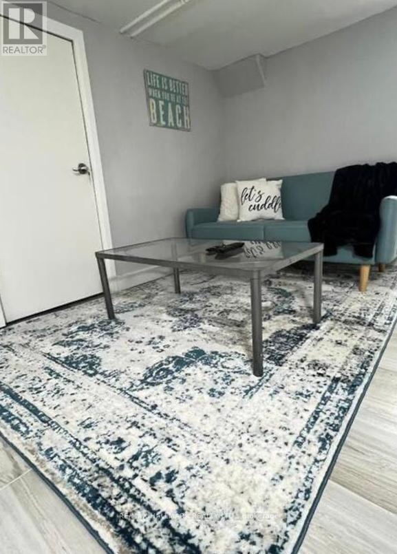 Lower - 132 Grace Street, Toronto, Ontario  M6J 2S2 - Photo 13 - C12708198