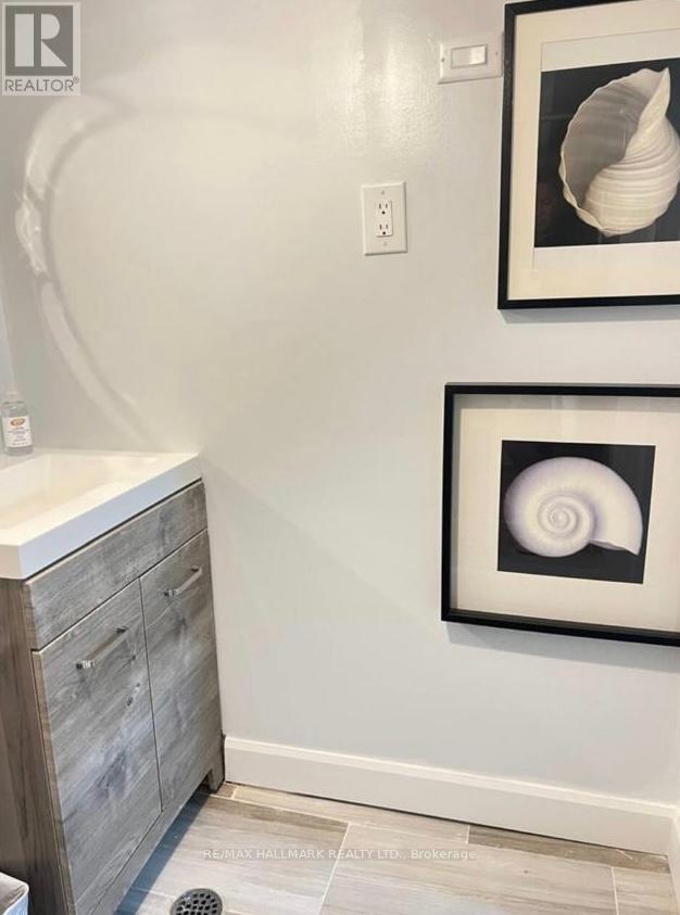 Lower - 132 Grace Street, Toronto, Ontario  M6J 2S2 - Photo 15 - C12708198