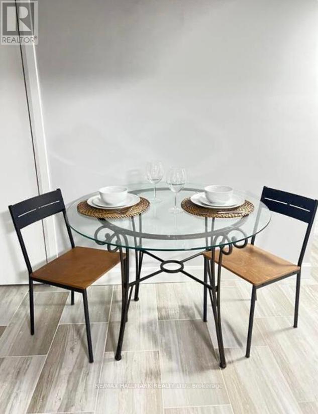 Lower - 132 Grace Street, Toronto, Ontario  M6J 2S2 - Photo 17 - C12708198