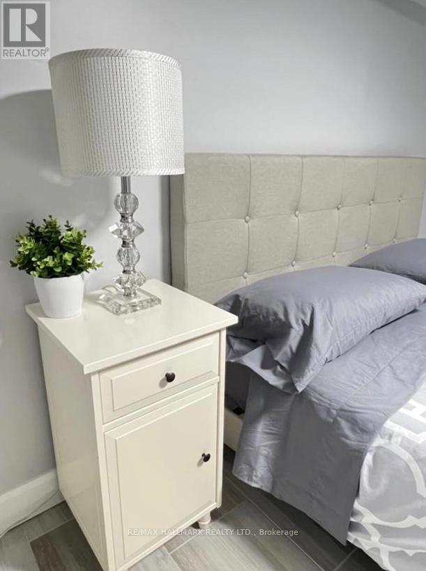 Lower - 132 Grace Street, Toronto, Ontario  M6J 2S2 - Photo 19 - C12708198