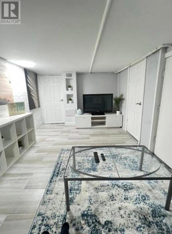 Lower - 132 Grace Street, Toronto, Ontario  M6J 2S2 - Photo 6 - C12708198