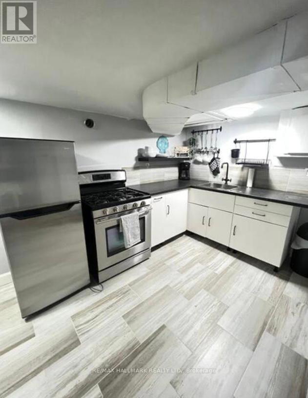 Lower - 132 Grace Street, Toronto, Ontario  M6J 2S2 - Photo 8 - C12708198