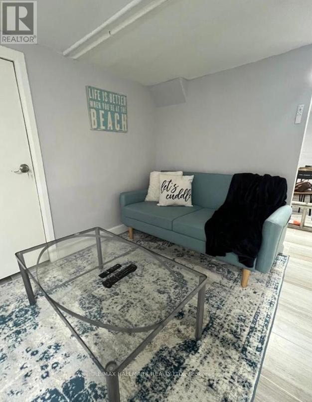 Lower - 132 Grace Street, Toronto, Ontario  M6J 2S2 - Photo 9 - C12708198