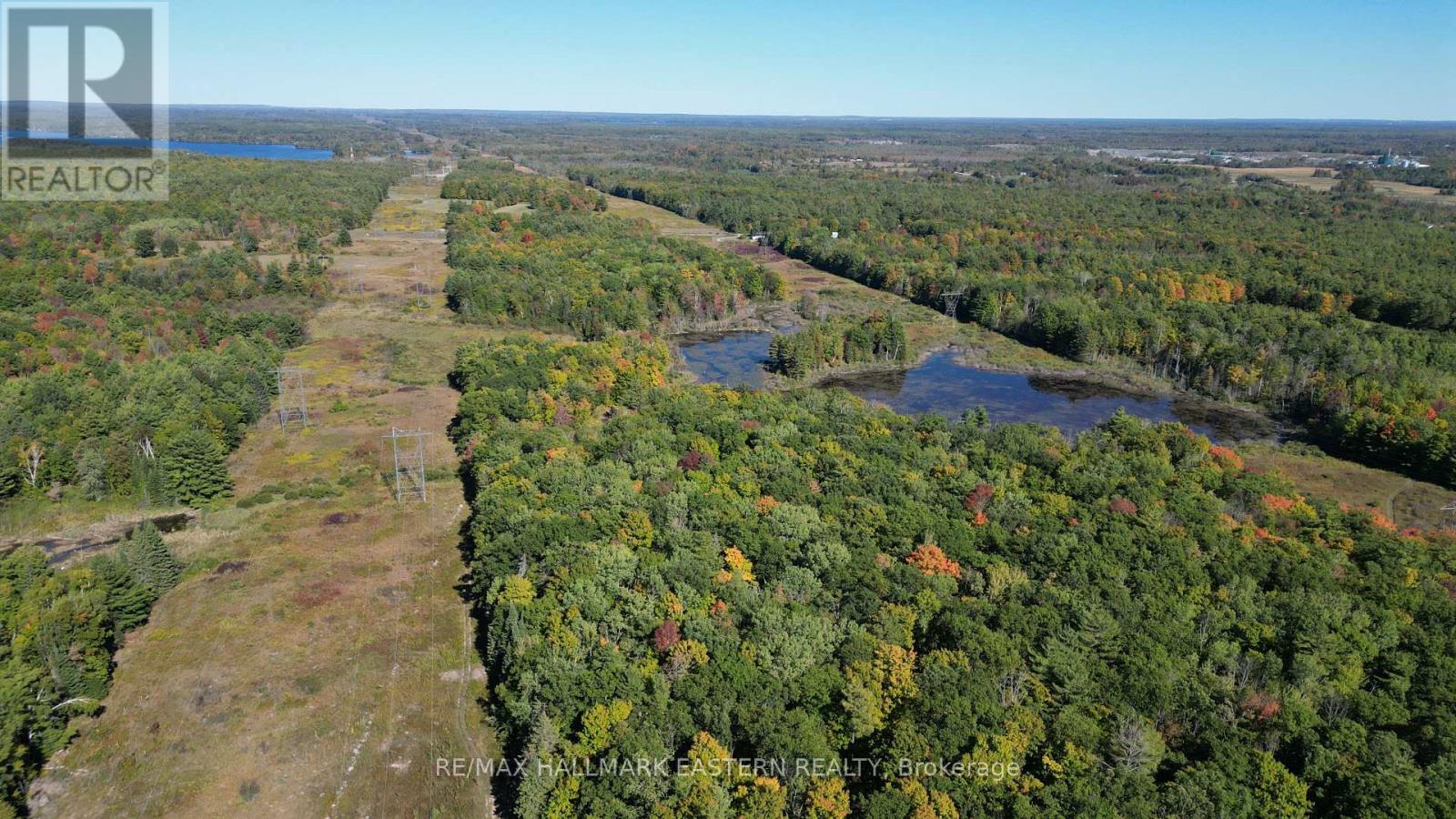 1092 Mid Belmont 7th Line, Havelock-Belmont-Methuen, Ontario  K0L 1Z0 - Photo 15 - X12421638